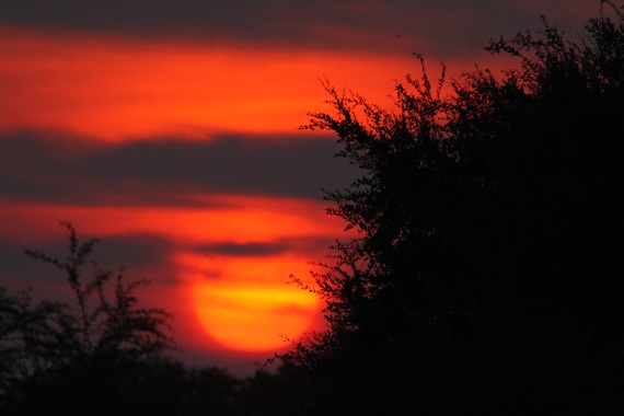 Rich red sunrise